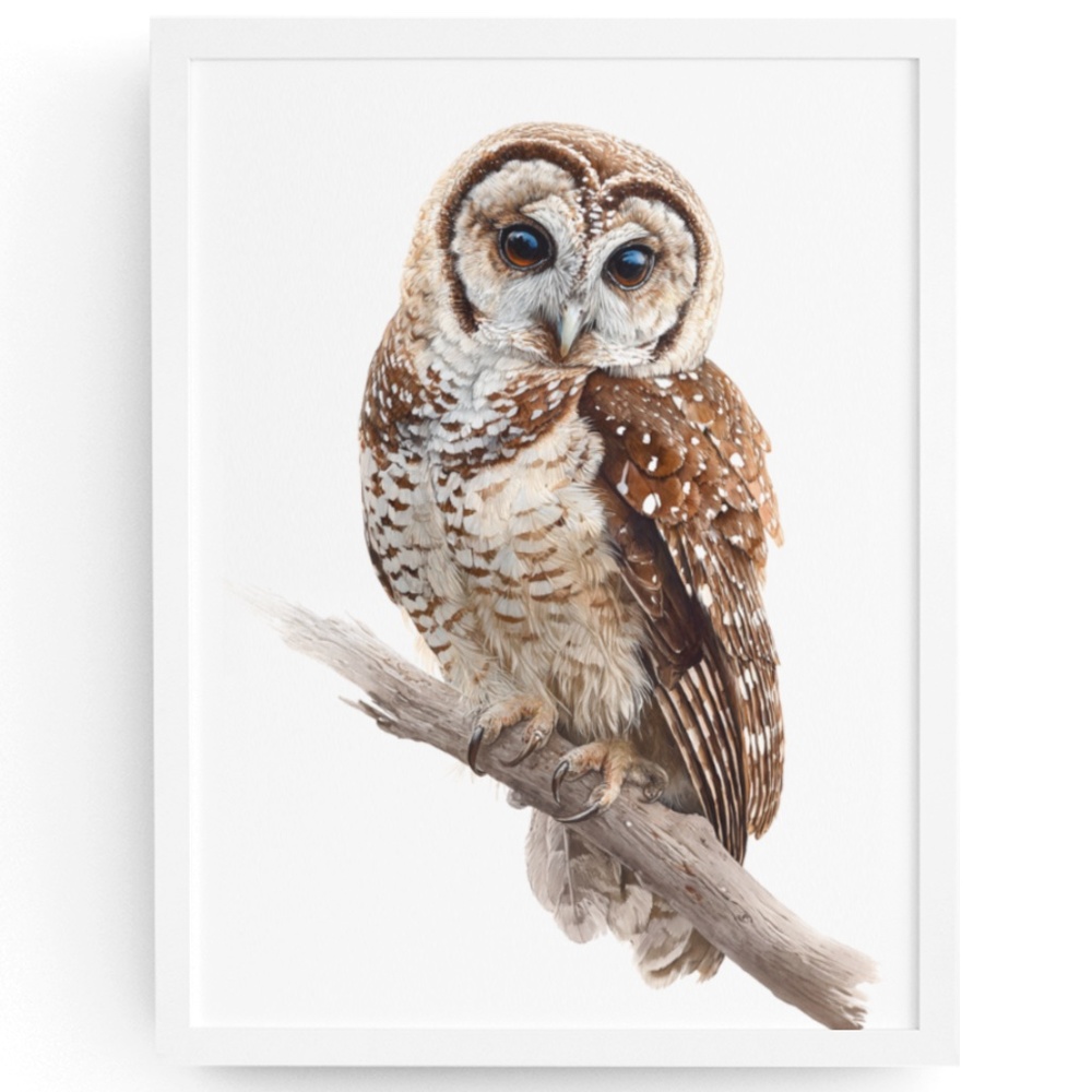 Watercolor Northern Saw-whet Owl Portrait Wall Art Print Poster, Unframed
